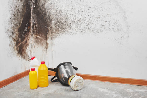 Best Certified Mold Removal  in Owasso, OK