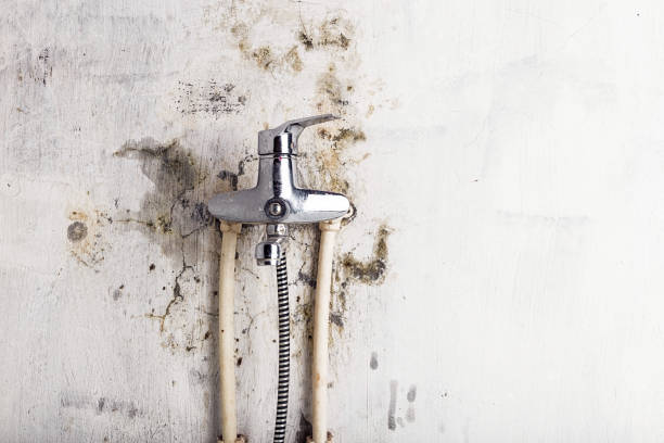 Best Fast Mold Removal  in Owasso, OK