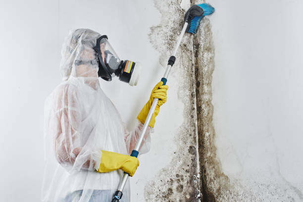 Best Office Mold Removal Services  in Owasso, OK
