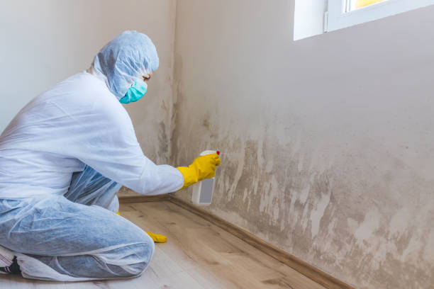 Certified Mold Removal in Owasso, OK