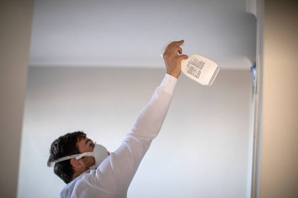 Best Mold Damage Repair  in Owasso, OK