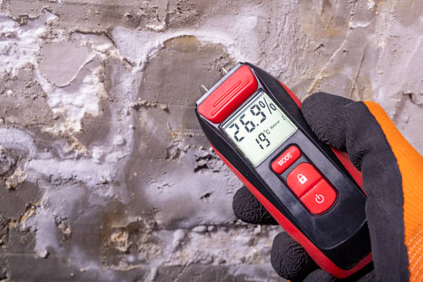 Best Mold Removal Company Near Me  in Owasso, OK