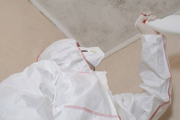 Owasso, OK Mold Removal Company