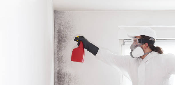 Best Crawl Space Mold Removal  in Owasso, OK