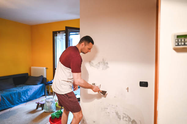 Best Home Mold Removal  in Owasso, OK