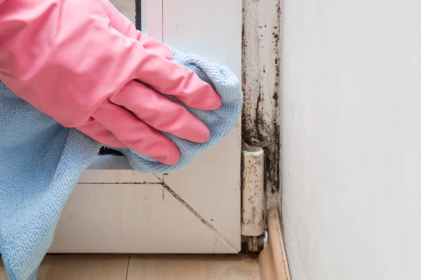 Best Mold Cleaning Services  in Owasso, OK