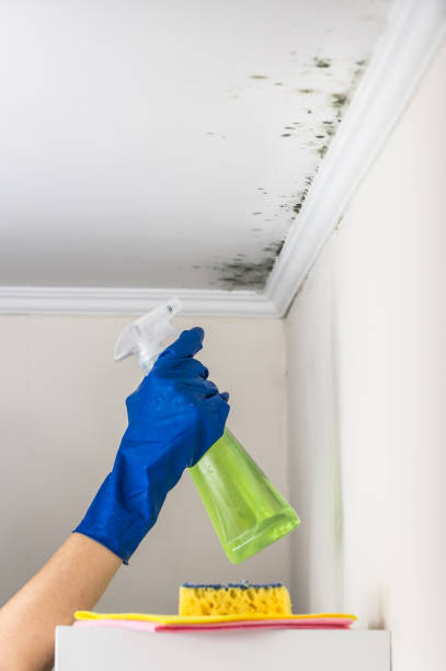 Best Mold Remediation Services  in Owasso, OK